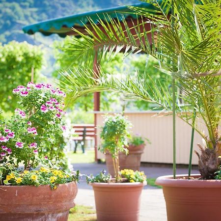 Landgasthof Rebstock Sankt Goar Εξωτερικό φωτογραφία