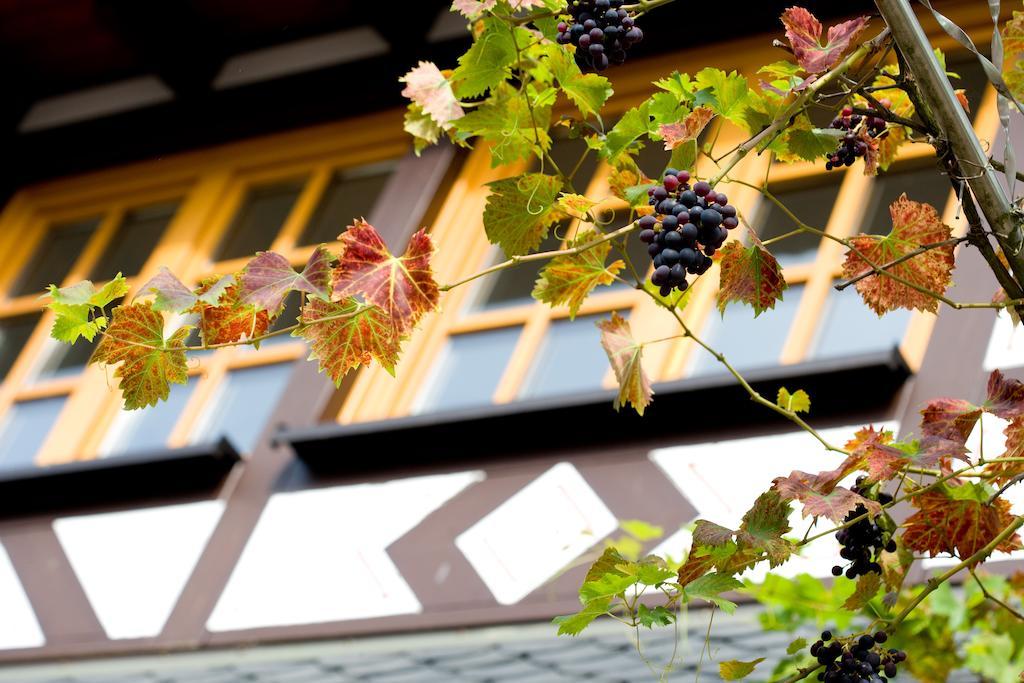 Landgasthof Rebstock Sankt Goar Εξωτερικό φωτογραφία