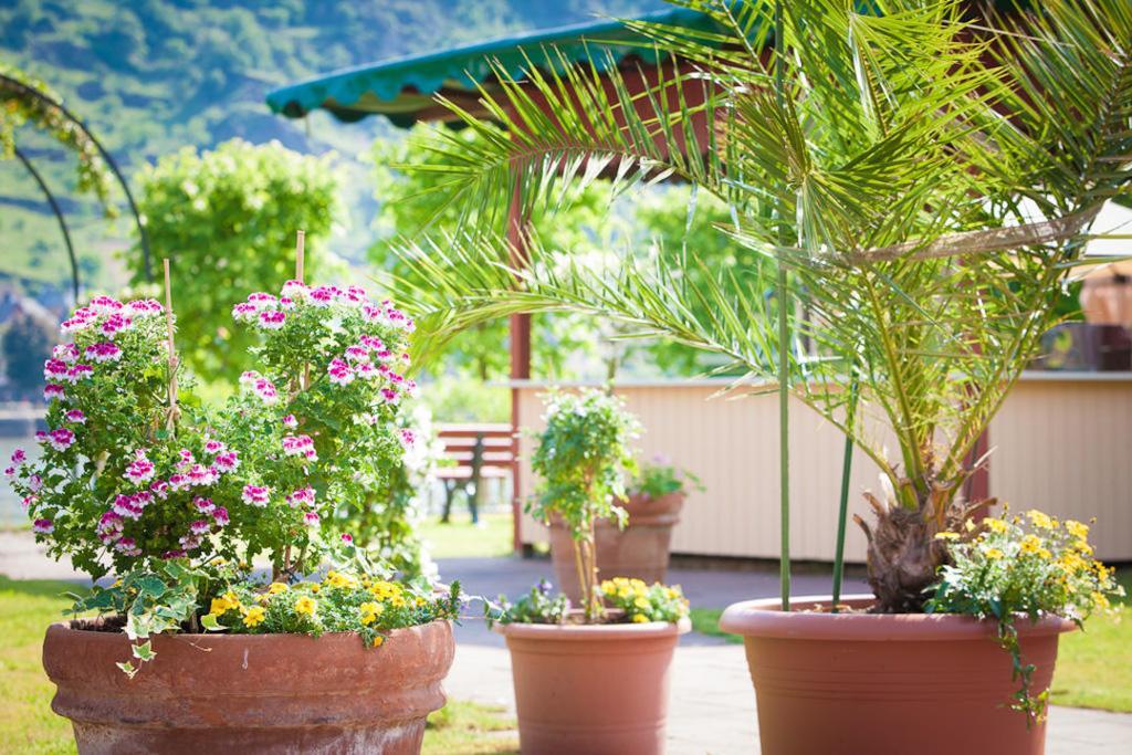 Landgasthof Rebstock Sankt Goar Εξωτερικό φωτογραφία